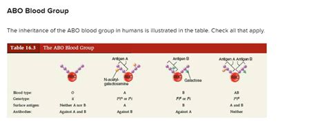 The inherited antigenic substances (antibody generators or simply antigens) are present on the surface of the red blood cells (rbcs). Solved: ABO Blood Group The Inheritance Of The ABO Blood G ...