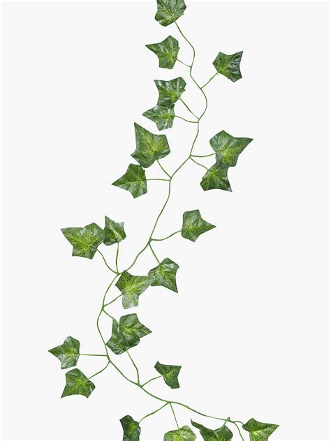 Ginger Ray Decorative Vines Pack Of 5 At John Lewis And Partners
