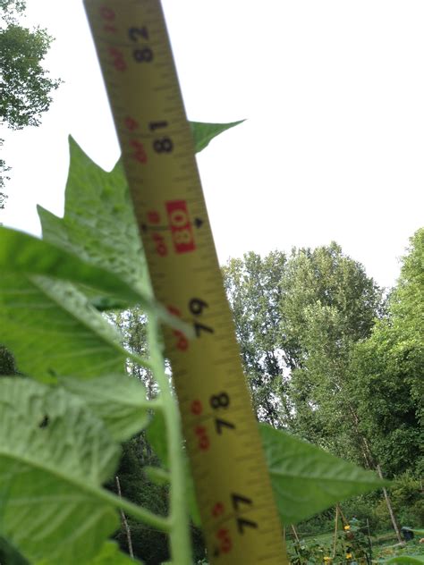 How many centimeters is 5 feet 11 inches? Eco-Friendly Vacation Rental Between Nantahala & Bryson ...