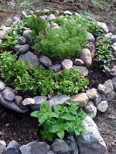 How To Plant Spiral Herbal Gardens Correctly List With Suitable