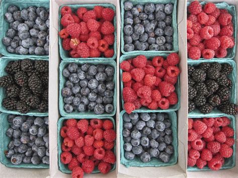A Definitive Guide To All The Berries You Want To Eat This Summer