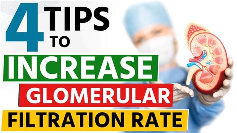 Tips To Increase Glomerular Filtration Rate Gfr Youtube