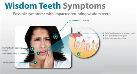 Wisdom Teeth Removal For The Health Benefits Extractions4less