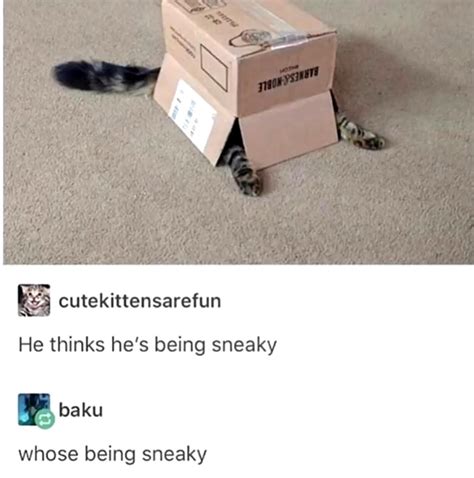 Sneaky One Meme Guy