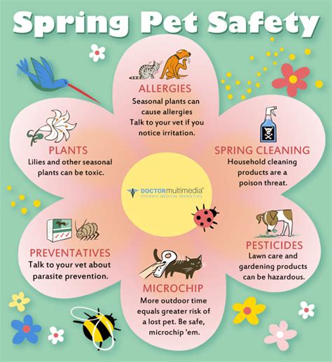 Spring Pet Care Safety | Options For Animals