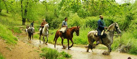 Paseo a Caballo en sacsayhuaman | Raices Quechuas Travel