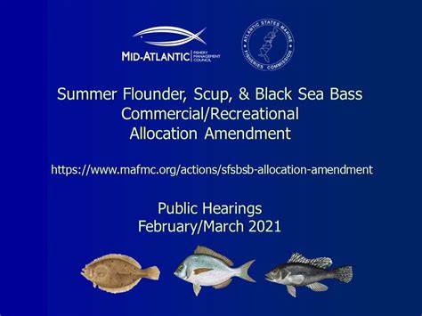 Summer Flounder Scup And Black Sea Bass Commercial Recreational Allocation Amendment — Mid