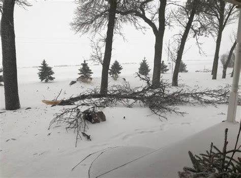 South Dakota Blizzard Thousands Of Ranchers Hurt By Spring Snowstorm