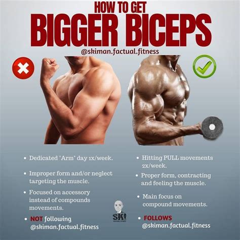 How To Get Bigger Biceps If Youve Been Struggling To Get Those Guns