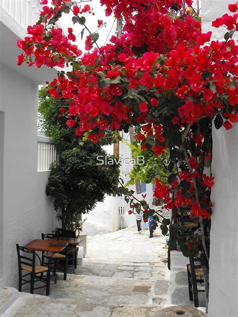 Greek Island Street And Flowers 1 By Slavicab Redbubble