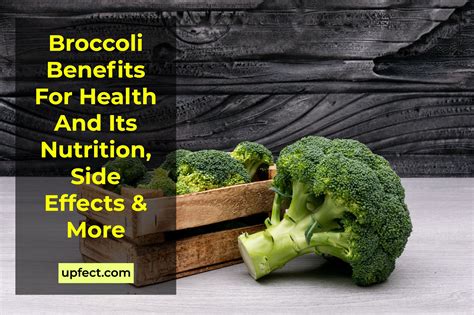 Broccoli Benefits For Health Its Nutrition Side Effects And More