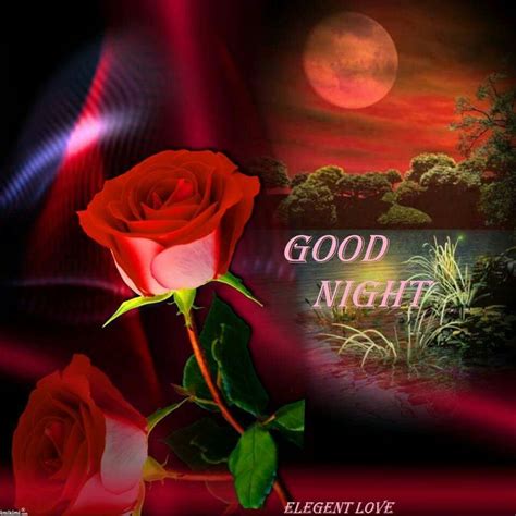 Pin By Althea Jones On Good Night Good Night Sweet Dreams Red Roses