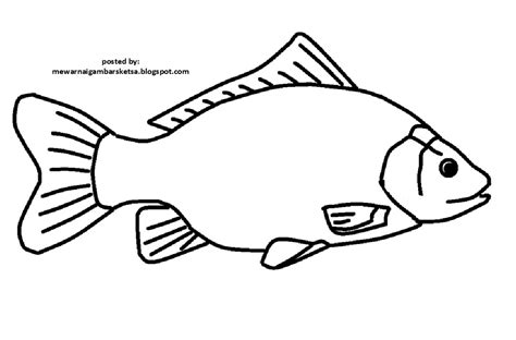 Bisa dari video, kata kata, hingga berbagai gambar lucu. 43+ Trend Gambar Sketsa Ikan Untuk Kolase