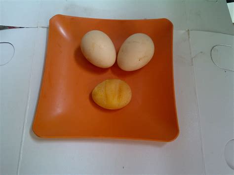Kelainan dapat berupa retak pada permukaan atau cangkang yang lembek atau bagian kuning telur. ginu network: Cara mengatasi kulit telur ayam yang lembek