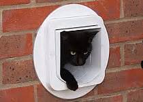 Doors & flaps └ cat supplies └ pet supplies all categories antiques art baby books business & industrial cameras & photo cell phones & accessories clothing, shoes & accessories coins & paper money collectibles computers/tablets. SureFlap Microchip DualScan cat Door | Dog Doors, Cat ...