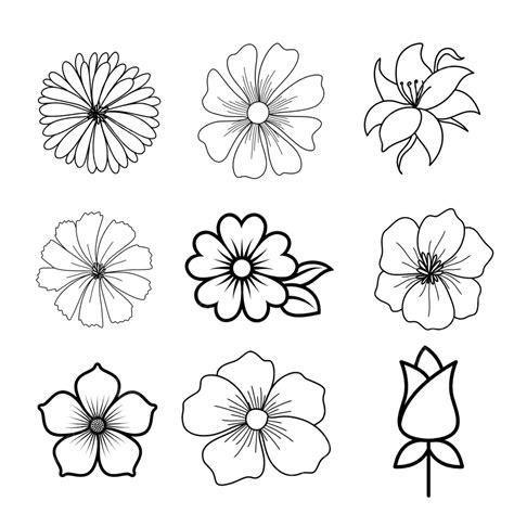 Conjunto De Vectores De Flores Dibujadas A Mano Png Vector De Flores