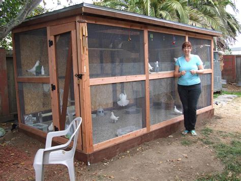 Howtobuildpigeoncages Cheryls Aviary Keeps Her Pet And Foster