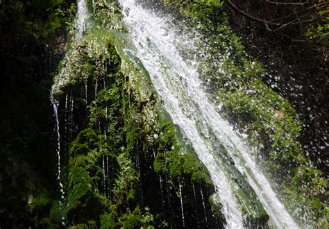 Water Stream Spilling Over Moss Free Stock Photo Public Domain Pictures