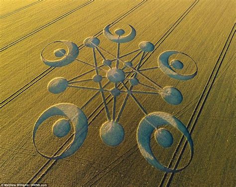 An Aerial View Of A Field With Circles In The Middle And Two Rows Of