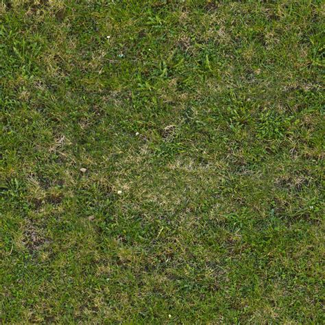 Seamless Tileable Grass Texture By Demolitiondan On Deviantart