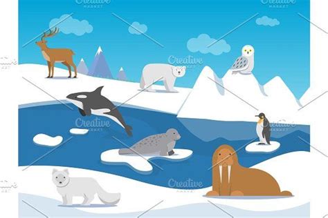 Arctic Landscape With Different Polar Animals Polar Animals Arctic