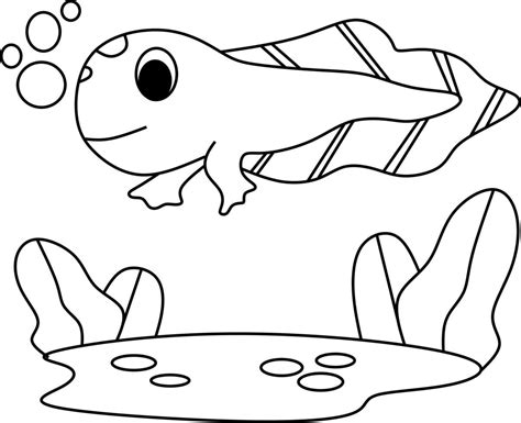 Tadpole Coloring Pages