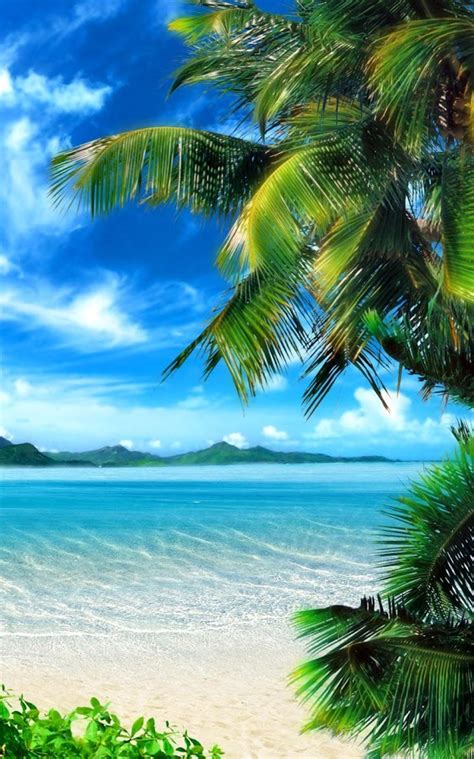 Give your phone a brand new look with the top tropical beach live wallpapers. Tropical Beach Live Wallpaper App Ranking and Store Data ...