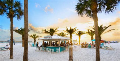 Hilton Clearwater Beach Resort And Spa Clearwater Migros Ferien