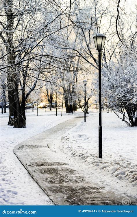 Street Lantern In Winter Snowy City Park Stock Image Image Of Season