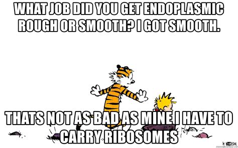What Job Did You Get Endoplasmic Rough Or Smooth I Got Smooth Thats
