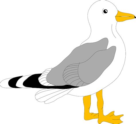 Cartoon Seagull Flying Clipart Best