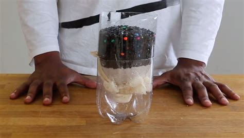 For updates, connect with us on facebook. How to Make a Water Filter as a Science Experiment | Sciencing
