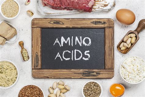 What Are Amino Acids And What Do They Do For Our Body Onus Iv