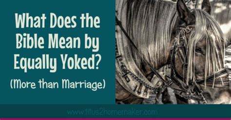 What Does The Bible Mean By Equally Yoked