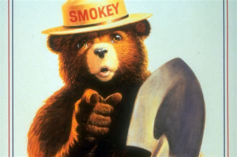 Smokey The Bear Meme Generator Peepsburgh