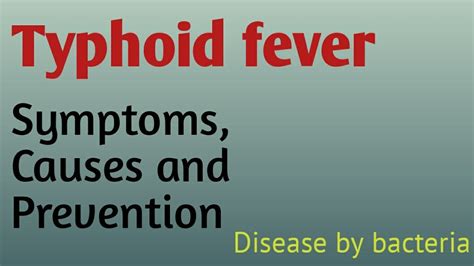 Typhoid Fever Human Health Symptoms Treatment Causes And