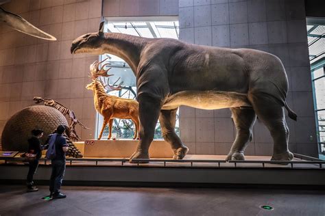 5 Most Gigantic Prehistoric Mammals To Ever Walk The Earthwarm Blooded
