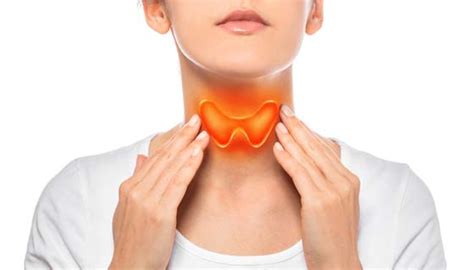 Thyroid Disorders Johns Hopkins Medicine