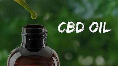 Cbd Oil Pain Relief Anxiety