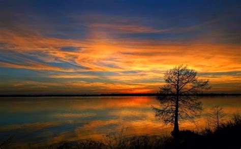 Hiking and fishing platform are available. Lake near Vicksburg | Vicksburg, Lake, Celestial