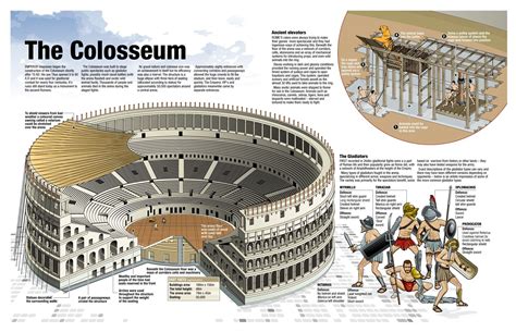 Colosseum By Ninian Carter Roman History Pompeii And Herculaneum