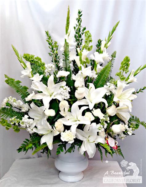 We did not find results for: Morning Stars Arrangement in Long Beach, CA | A Beautiful ...