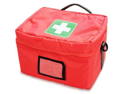 Pet First Aid Kit First Aid Kit Supplies For Dogs Cats Petmd