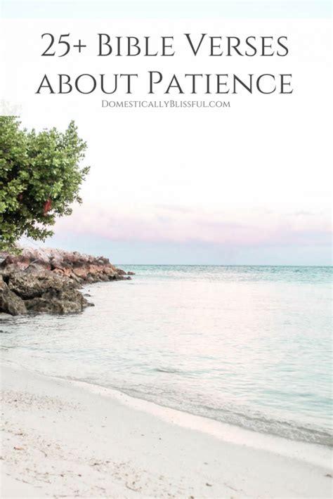 Bible Verses About Patience Domestically Blissful