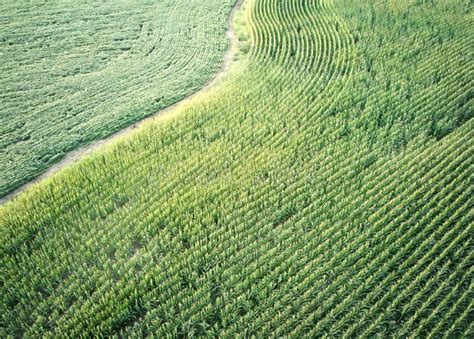 An Aerial View Of Farm Land In The Summer Stock Photo Image Of Drone