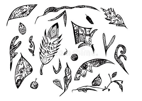 Watercolor Set Black And White Leaves Zentangle Doodling Design Stock