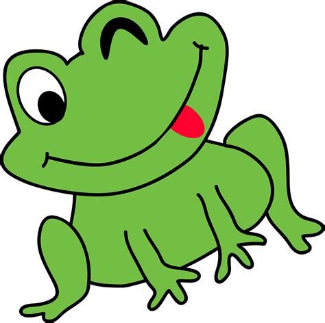 Funny Frog Clipart Free Download Transparent Png Creazilla