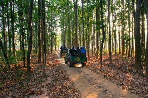 2023 Bandhavgarh Tour With Kanha National Park