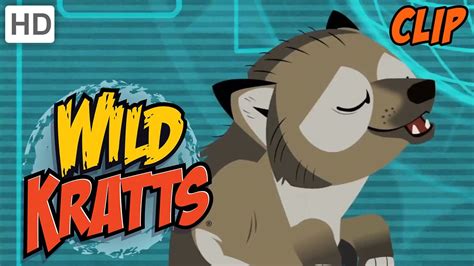 Wild Kratts - Howling Wolves - YouTube
