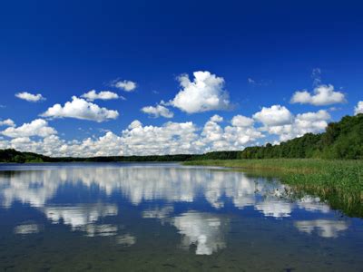 These examples reference theoretical literature to support the reflection. GCSE Waves | Revision of Reflections off Surfaces